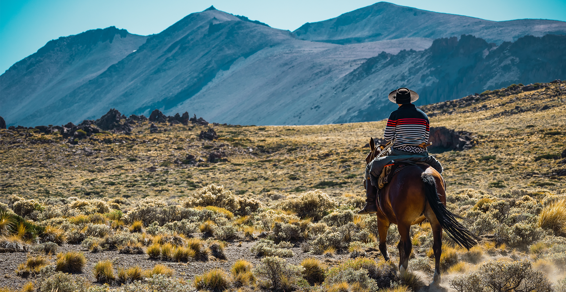 A Gaucho Rides a Horse in Argentine Patagonia