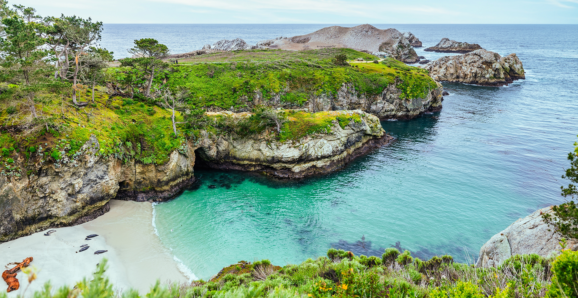 Point Lobos Reserve, Carmel-by-the-Sea