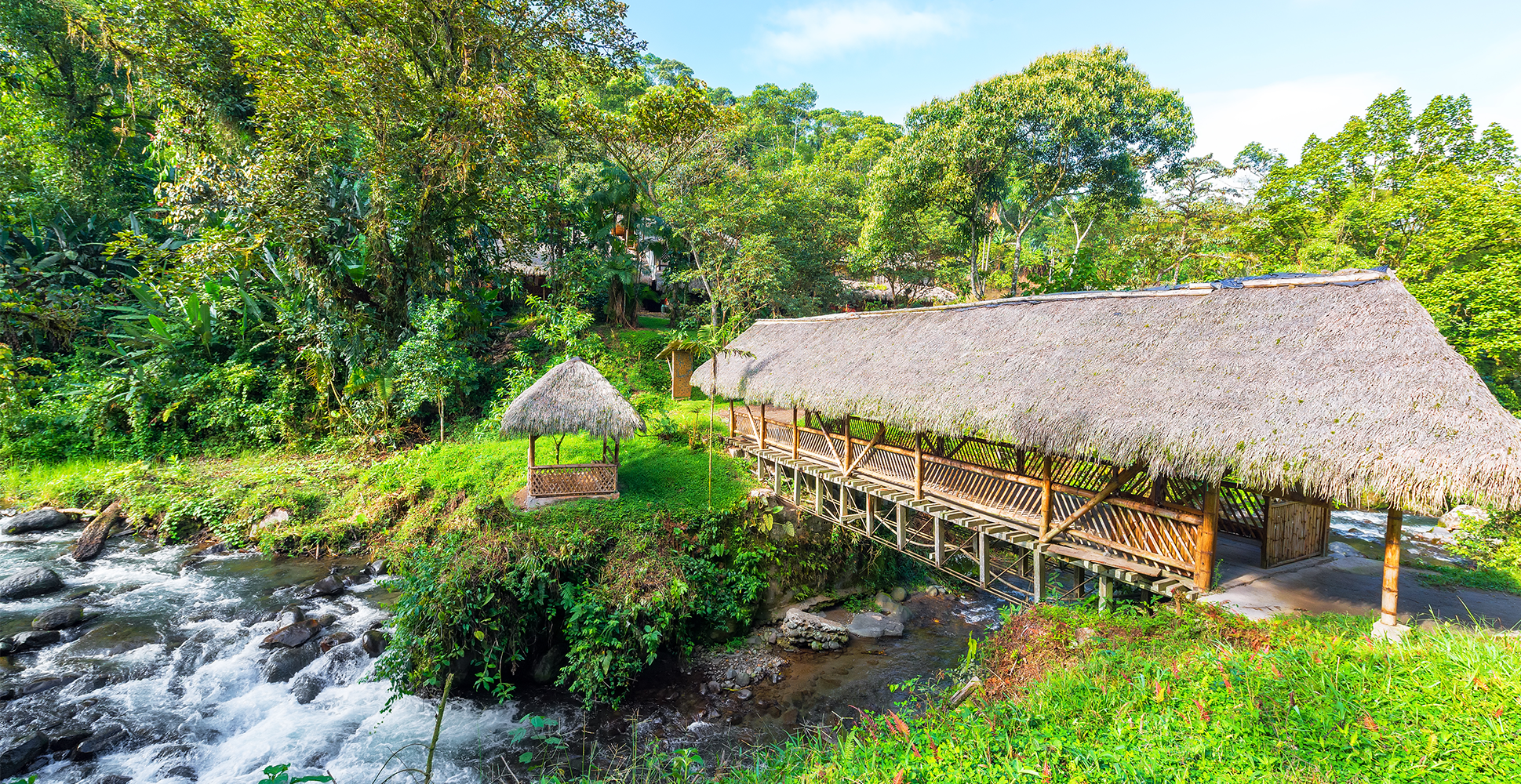 Mindo Cloud Forest, Ecuador