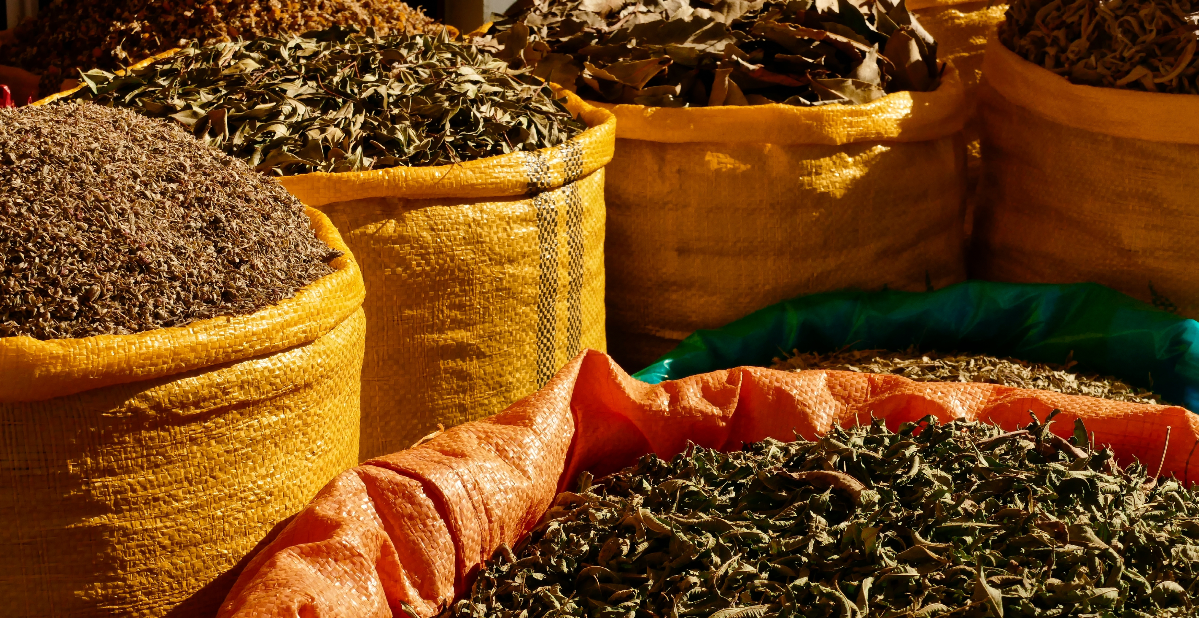 The Spices of Morocco