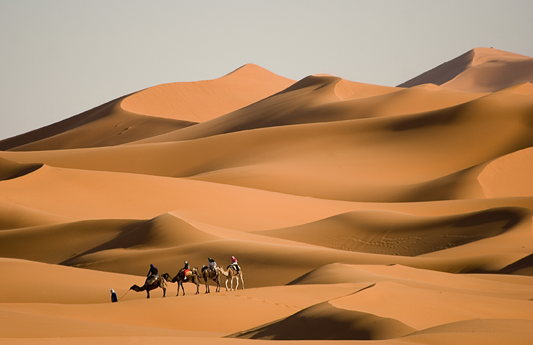 Camel Ride in the Sahara