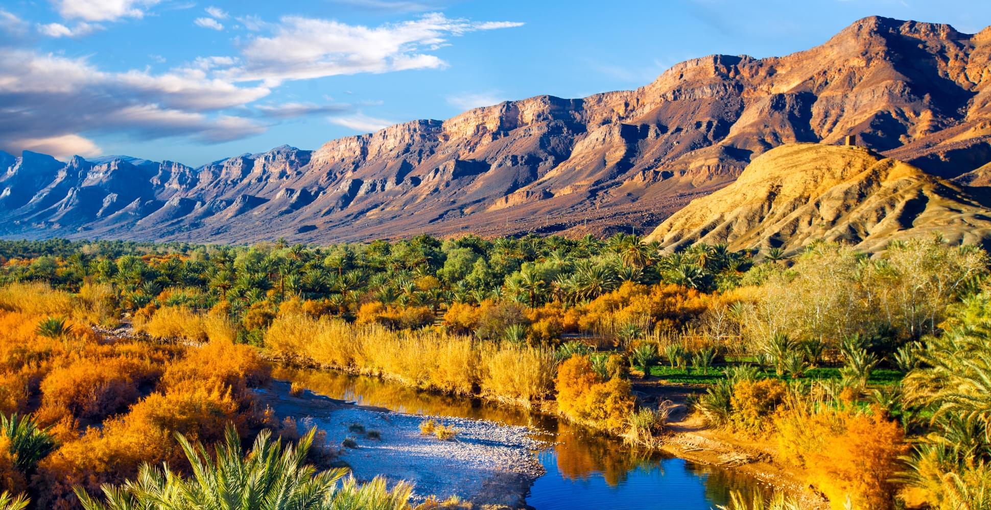 Oasis with trees in the mountains of Morocco