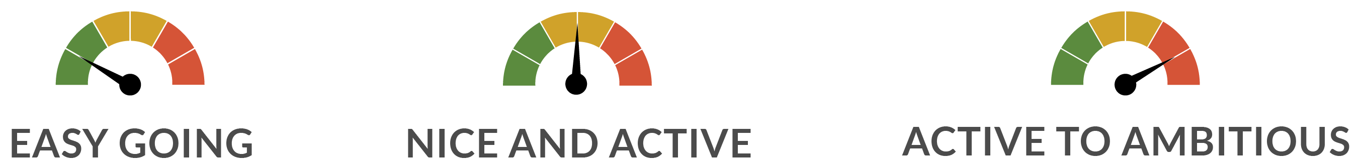 Energy Index key — energy levels one to seven