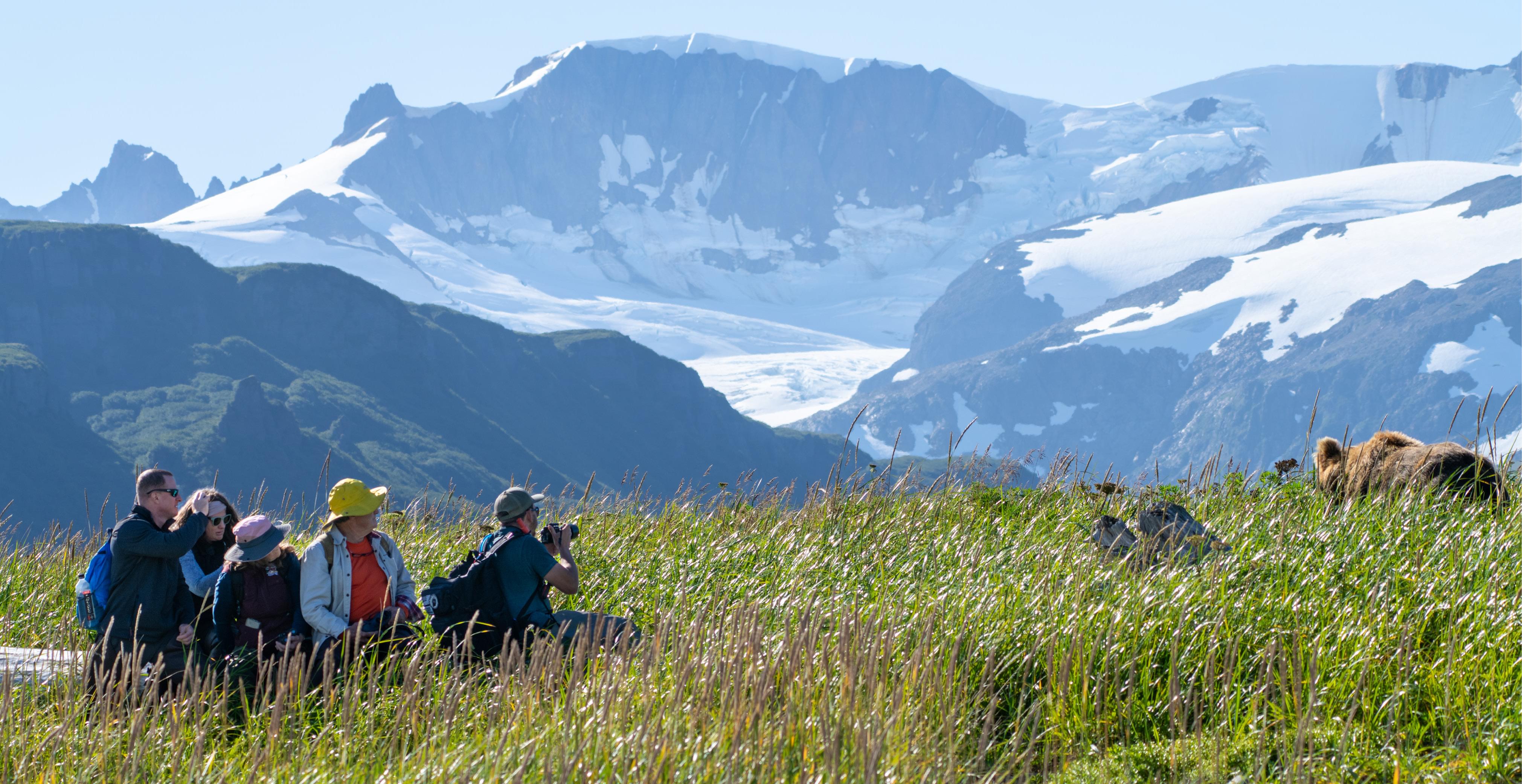 brown bears in Katmai National Park, Alaska