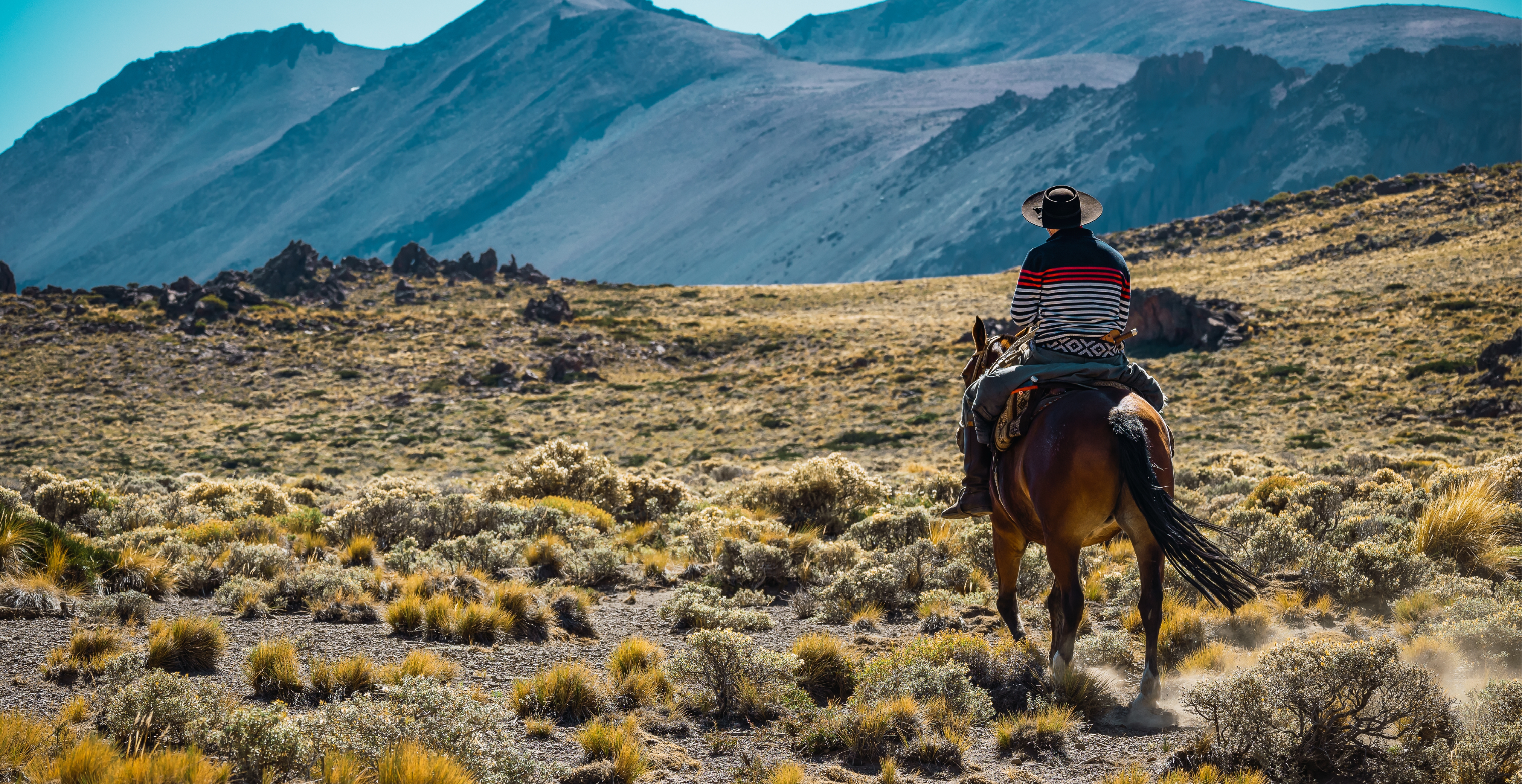 Gaucho on Horseback, Argentine Patagonia