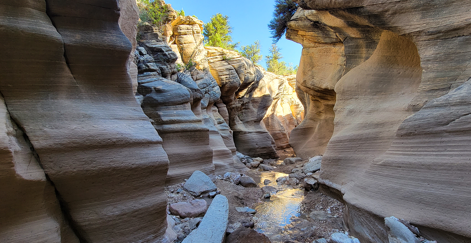 Willis Creek Narrows, Utah